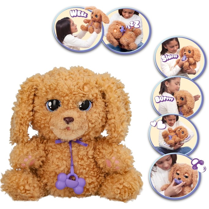 BABY PAWS Labradoodle