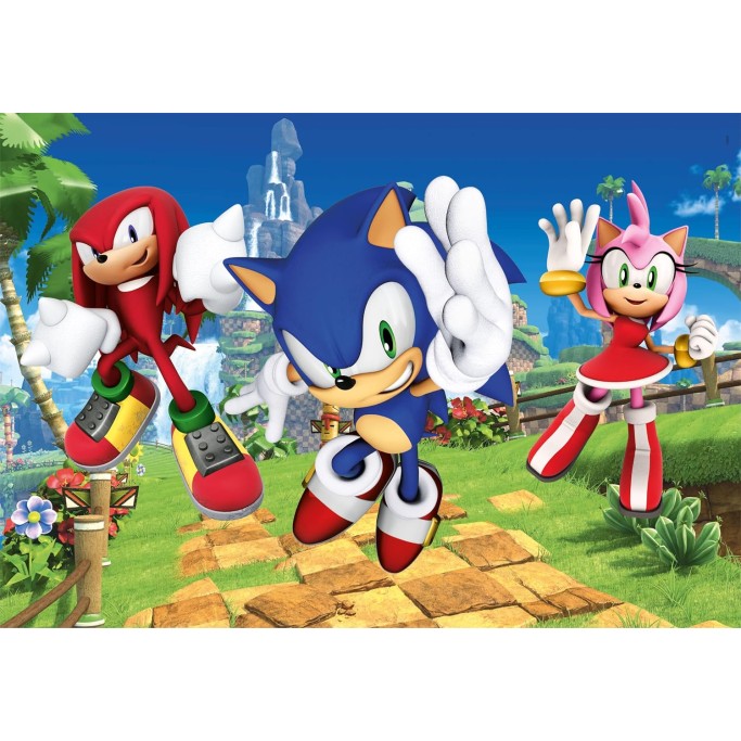 Puzzle 104 Sonic