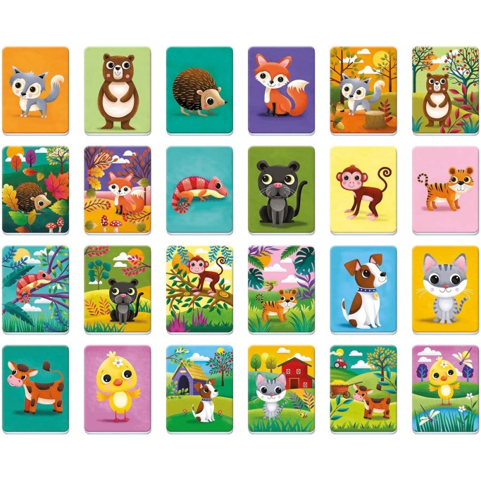SAPIENTINO CASE DEI CUCCIOLI FLASHCARDS