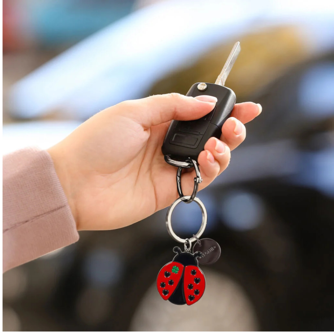 Legami, Portachiavi in Metallo Smaltato, Ladybug, Coccinella, What a Key Ring!