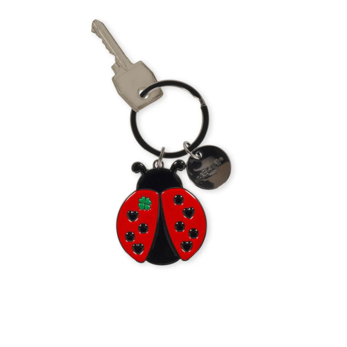Legami, Portachiavi in Metallo Smaltato, Ladybug, Coccinella, What a Key Ring!