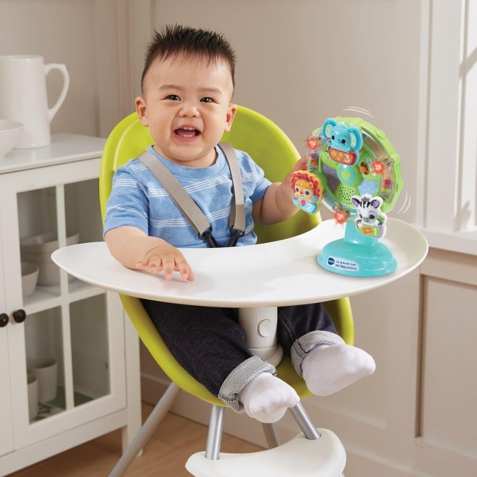Baby Ruota Panoramica